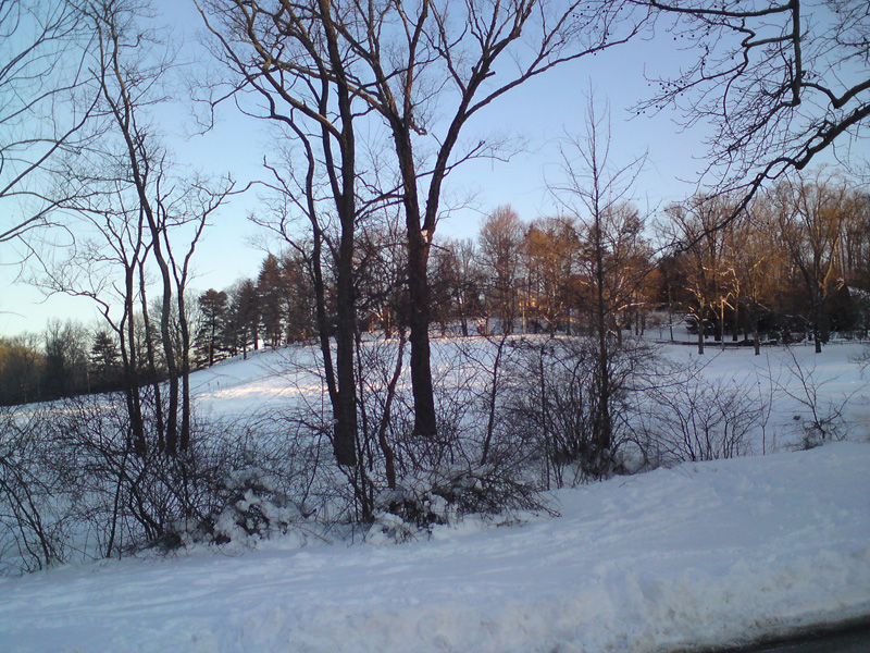 DSC00077